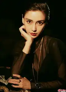 angelababy身穿黑透视刺绣裙创业时代发布会大曝网恋情节