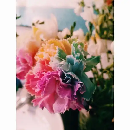 怦然心动的相册花草树木