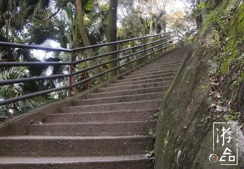 涂山狐狸盘踞于此原来重庆涂山之上还有处神话中出现的地方