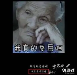 慰安妇制成表情包慰安妇表情包作者表情云是谁资料