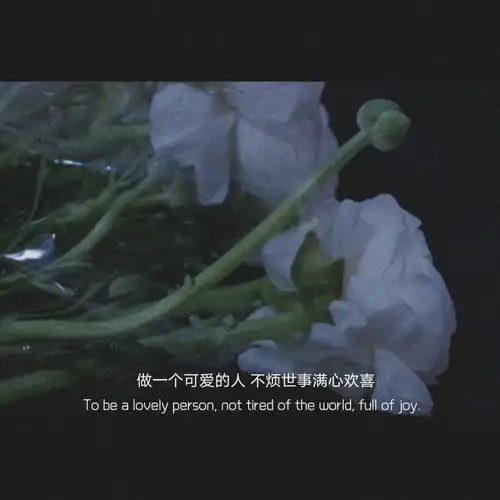 超级仙气的文案