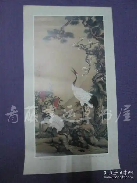 全部商品幸运草书屋孔夫子旧书网
