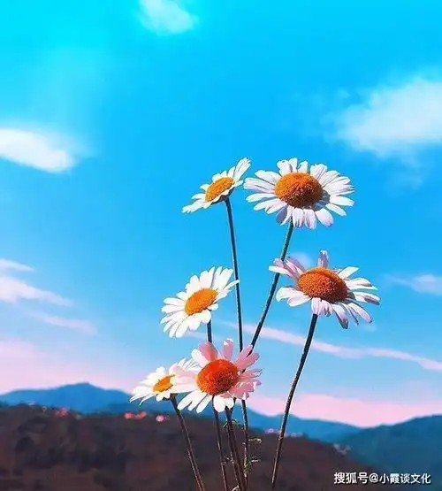 发朋友圈简短的早安心语,经典走心,让人忍不住分享