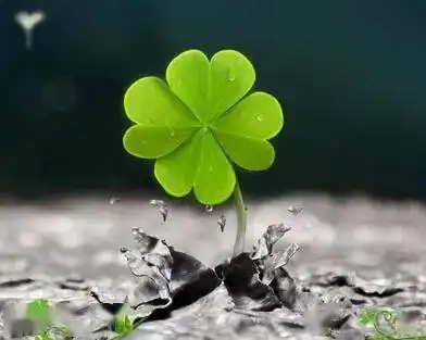 保持一颗平常心,坐看云起落花开谢,得之淡然,失之坦然