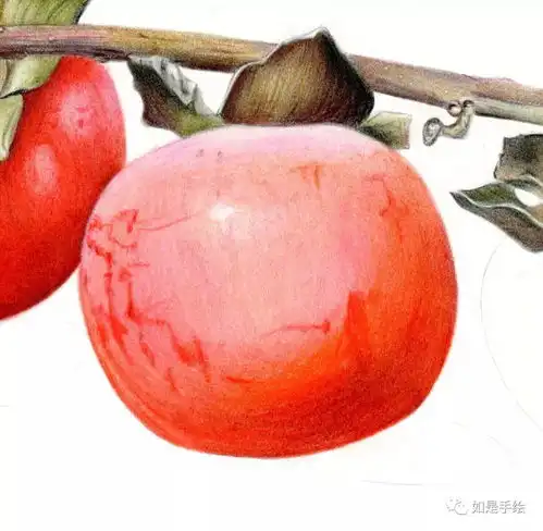 柿子新的一年大家都柿事如意