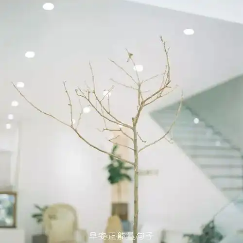 早安心语励志语录早安励志简短一句话