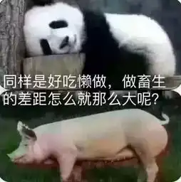 以为去旅游没想到去登基熊猫靠卖萌统治世界