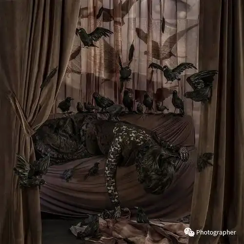 测试一个超长简介的文章