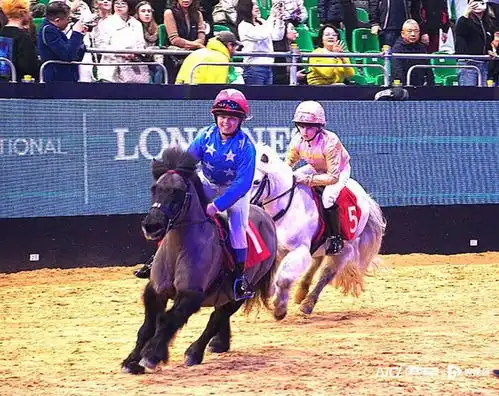 国际马术盛典首次在香港举办,顶尖骑手驾骏马良驹越障争先