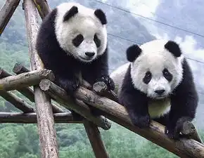测试一个超长简介的文章