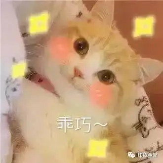 春天,率先抵达了这个地方