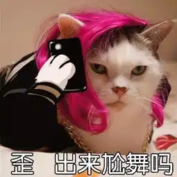 哈哈哈哈哈哈哈哈救命啊我要觉得我还可以抢救一下
