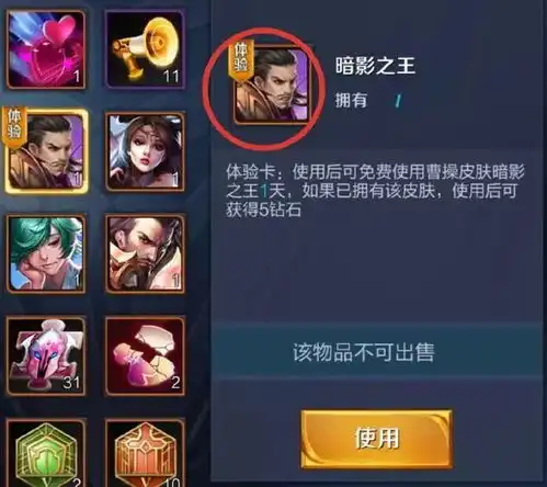 王者荣耀土豪玩家皮肤已经买满,结果晒出一张体验卡,胜过任何一款皮肤