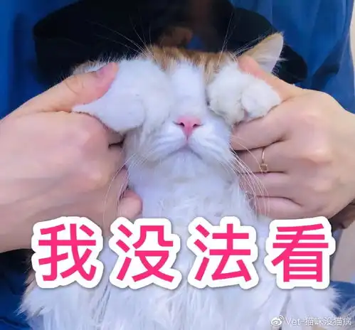 宠物医院不开门咋办如何让在线问诊更靠谱