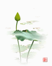 你的孩子,是一颗千年的种子
