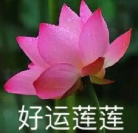 为了避免被爹妈开除户籍,我把微信头像改成了最想拉黑的样子
