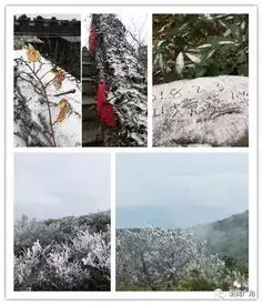 泉州市区清源山迎百年以来的第一场雪这2天,还会下雪吗