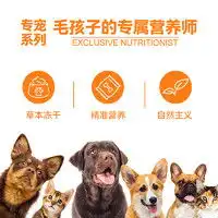 宠物篇篇一30一斤左右的小型老年犬狗粮推荐丨适合自家狗子的狗粮才是好狗粮