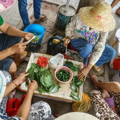 槟榔,谁的毒药谁的蛋糕地球知识局