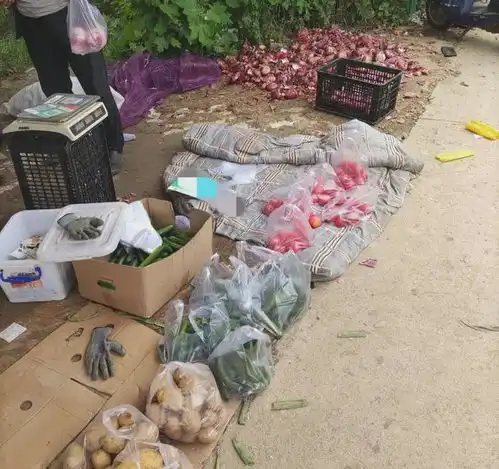 西安一地人山人海,蔬菜水果论堆卖,花10元钱买到提不动