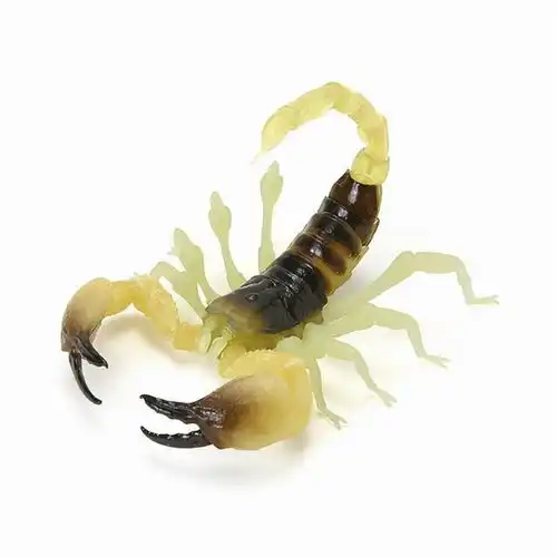 模玩资讯万代生物图鉴帝王蝎蝎子拟真环保扭蛋