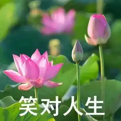 趣福建,嗨一夏福建的夏,甚荷我意