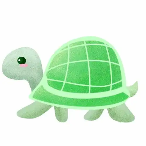 第338期青蛙的乌龟朋友