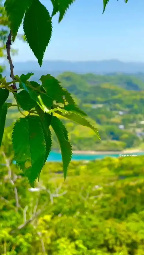 没有正确的三观没有成熟稳重的性格没有独立的经济条件做点皮毛就说爱你的人这不叫爱,这叫耽误