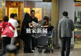 angelababy回京墨镜遮面急赴黄晓明别墅高清组图