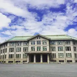 日本东京自由行暴走景点模式开启迪士尼海洋,三丽鸥彩虹乐园,宫崎骏三鹰吉卜力