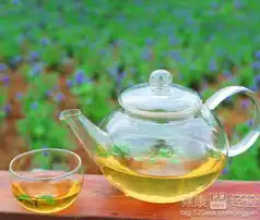 日光性皮炎居家护理