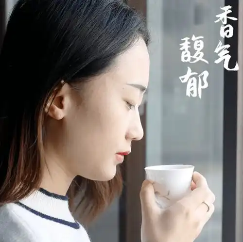 书剑说普洱白茶是什么云南有白茶吗