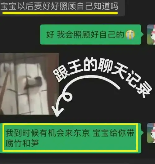 王思聪女友官宣分手聊天记录暴露重要讯息,小王也许真回不来了