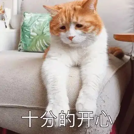 搞笑一组很丧的喵表情包,今天又是活力四射的一天哦