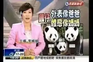 没想到一海之隔的台湾新闻水平居然是业界泥石流