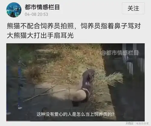 高级饲养员扇大熊猫耳光