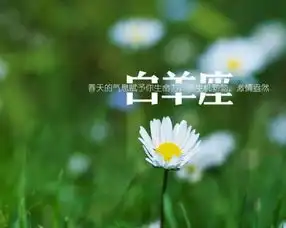 可以认错道歉,但不会低头退让的星座