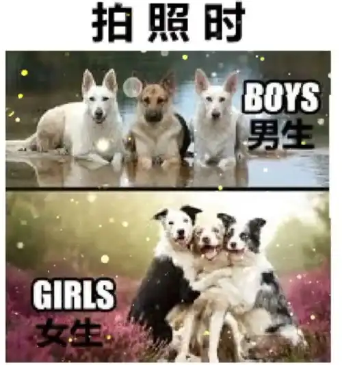 脑袋空不要紧,关键是不要进水腾讯新闻