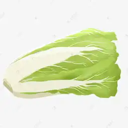食物类蔬菜大白菜手绘素材图片免费下载高清psd千库网图片编号11771341