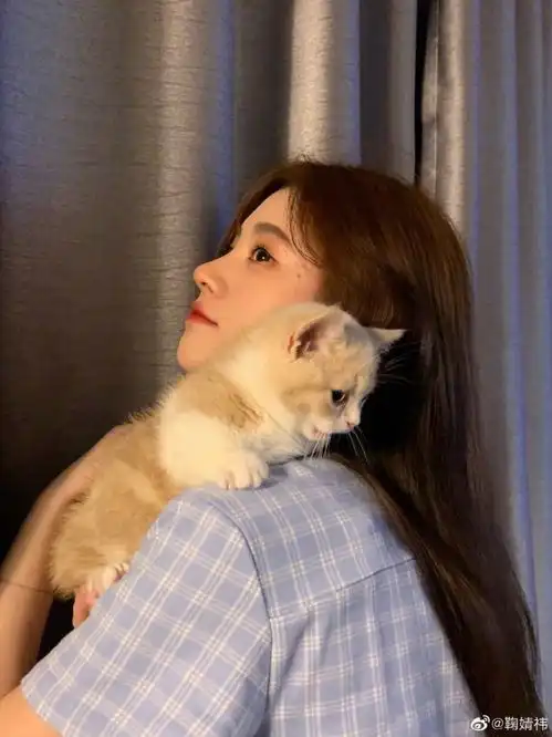 鞠婧祎用裙子兜着小奶猫,膝盖处显瓶盖大小红印,不考虑p掉