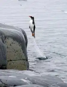内涵图妹子眼神好迷人