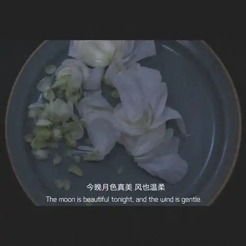 测试一个超长简介的文章