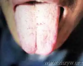 测试一个超长简介的文章
