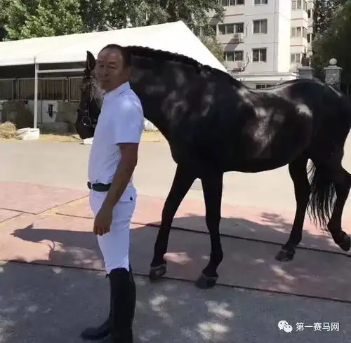 亮点满满58位骑手闪耀登场2017广东省马术俱乐部联赛香港赛马会杯广州总决赛