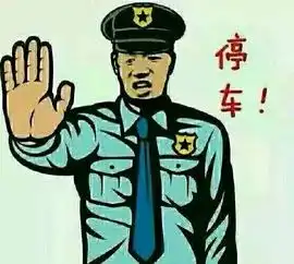 逆行闯红灯撞警车...月罗路上一男子驾车疯狂逃逸