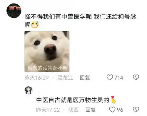 笑麻了金毛吹空调导致面瘫被送到宠物医院针灸网友它嘴真歪了
