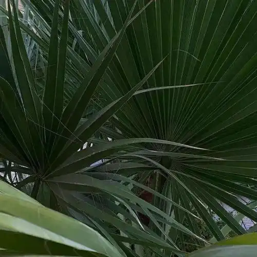 测试一个超长简介的文章