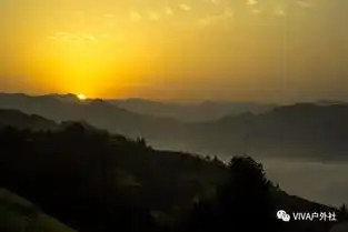 石潭村花开成海新安江山水画廊欢乐公益团3.93.10