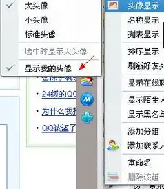 怎样显示我qq面板上的头像
