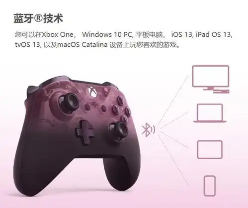 售价499元xbox新手柄国行定名绝对领域紫